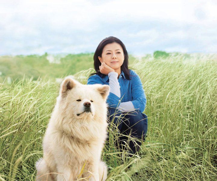 chó Akita lông dài